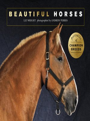 cover image of Beautiful Horses